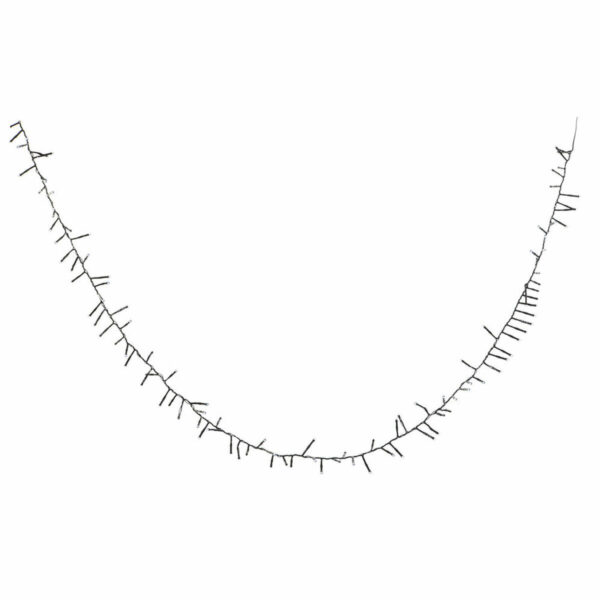 S3025501_0 S3025501_0