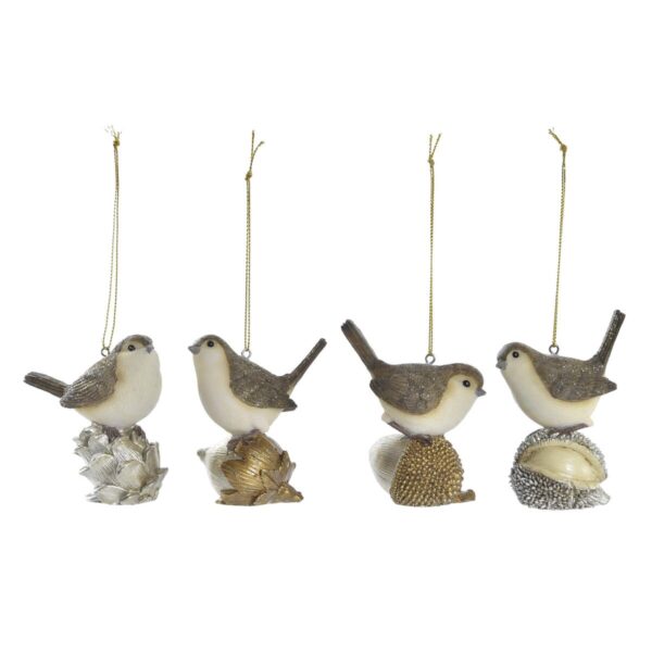 S3035893_0 S3035893_0