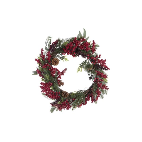 S3036105_0 S3036105_0