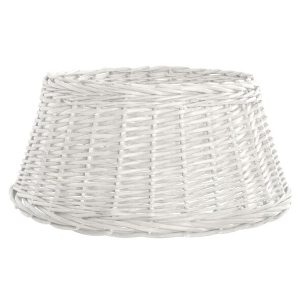 S3036518_0 S3036518_0