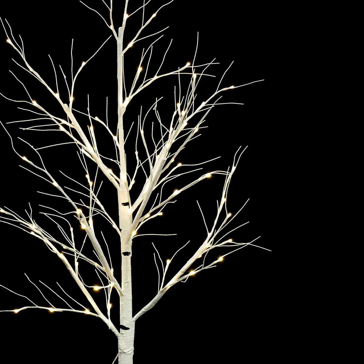 S8803494_1