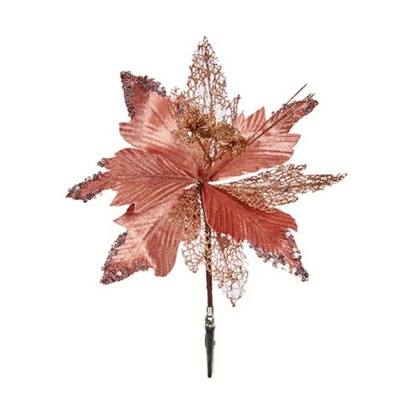 S3613035_0 S3613035_0