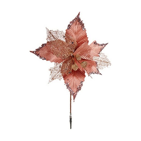 S3613040_0 S3613040_0