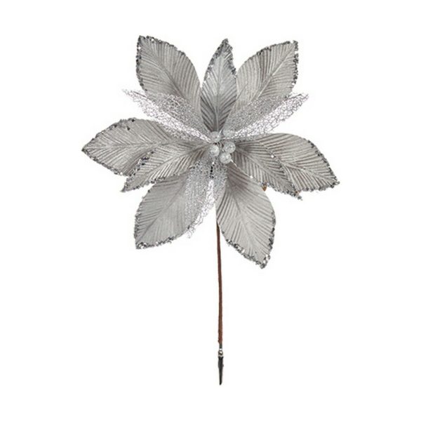 S3613060_0 S3613060_0