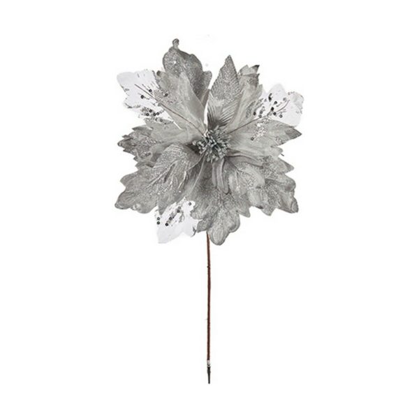 S3613086_0 S3613086_0