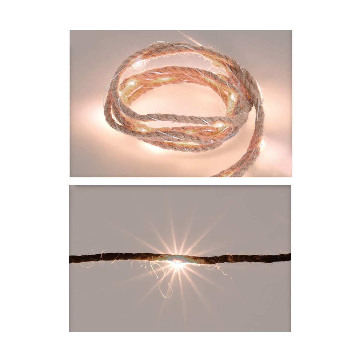 S7905413_0