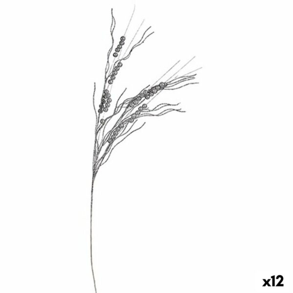 S3627742_0