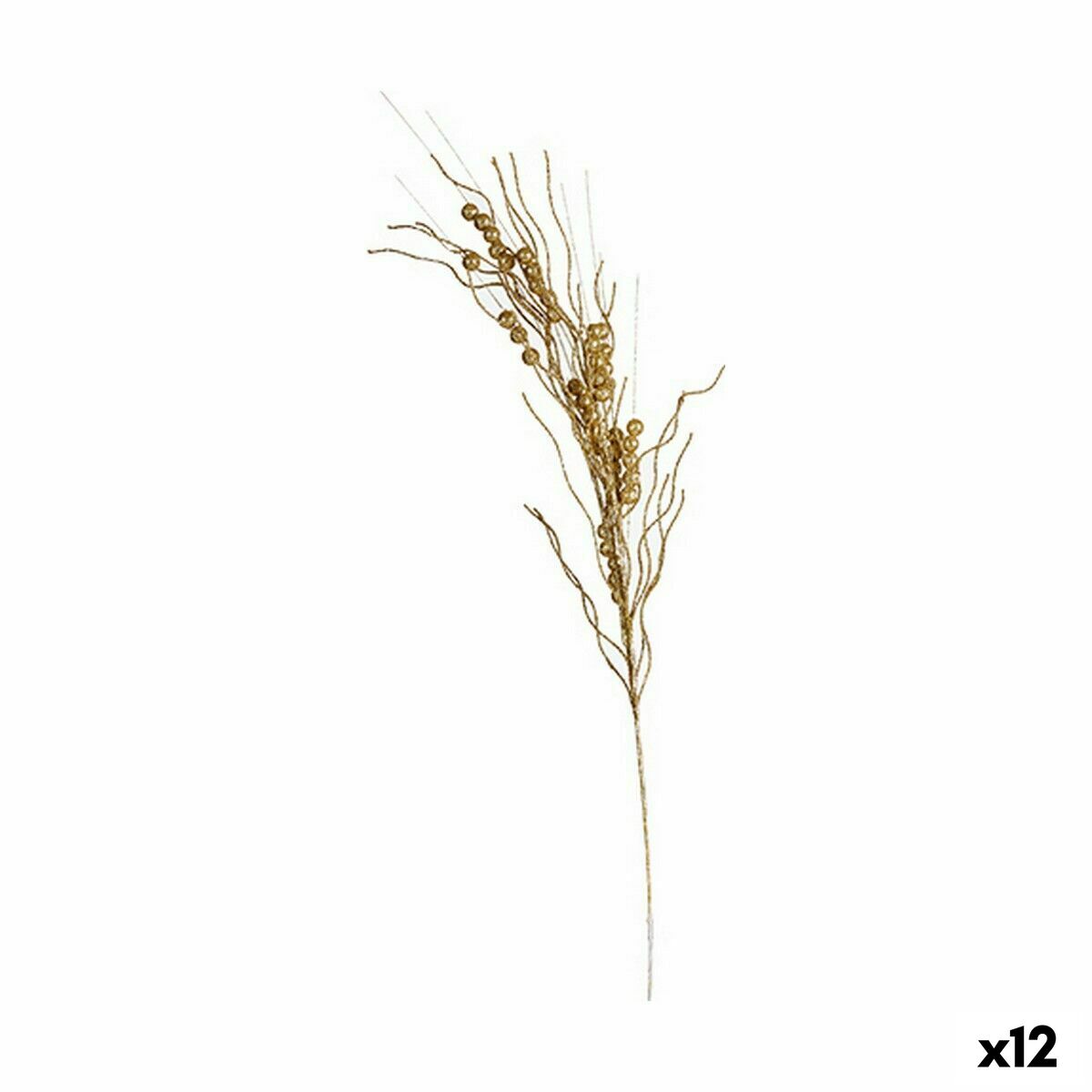 S3627743_0