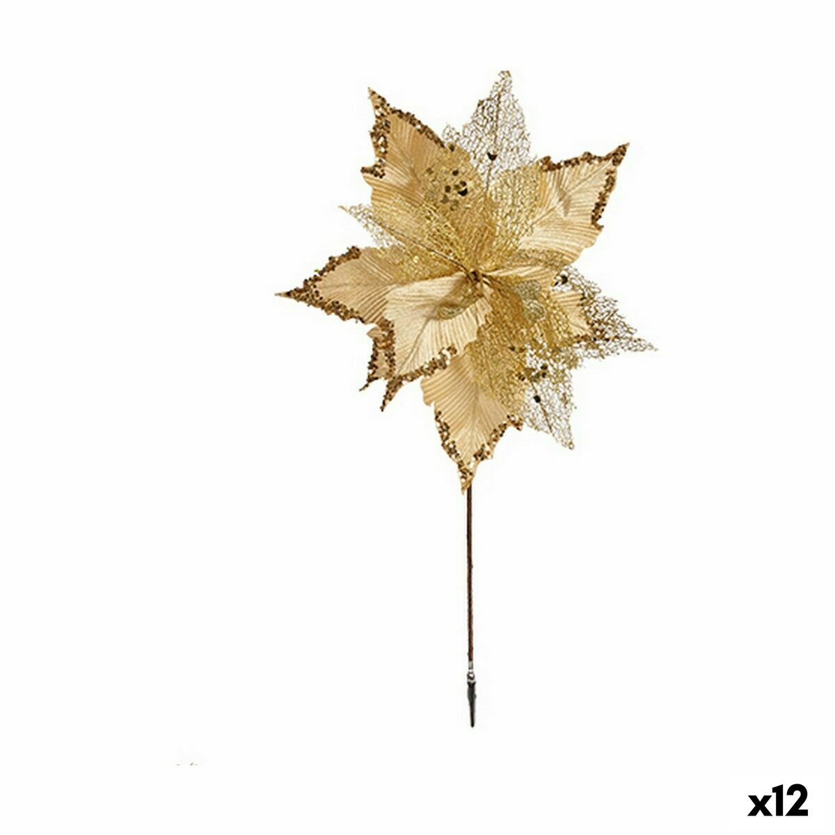 S3627764_0