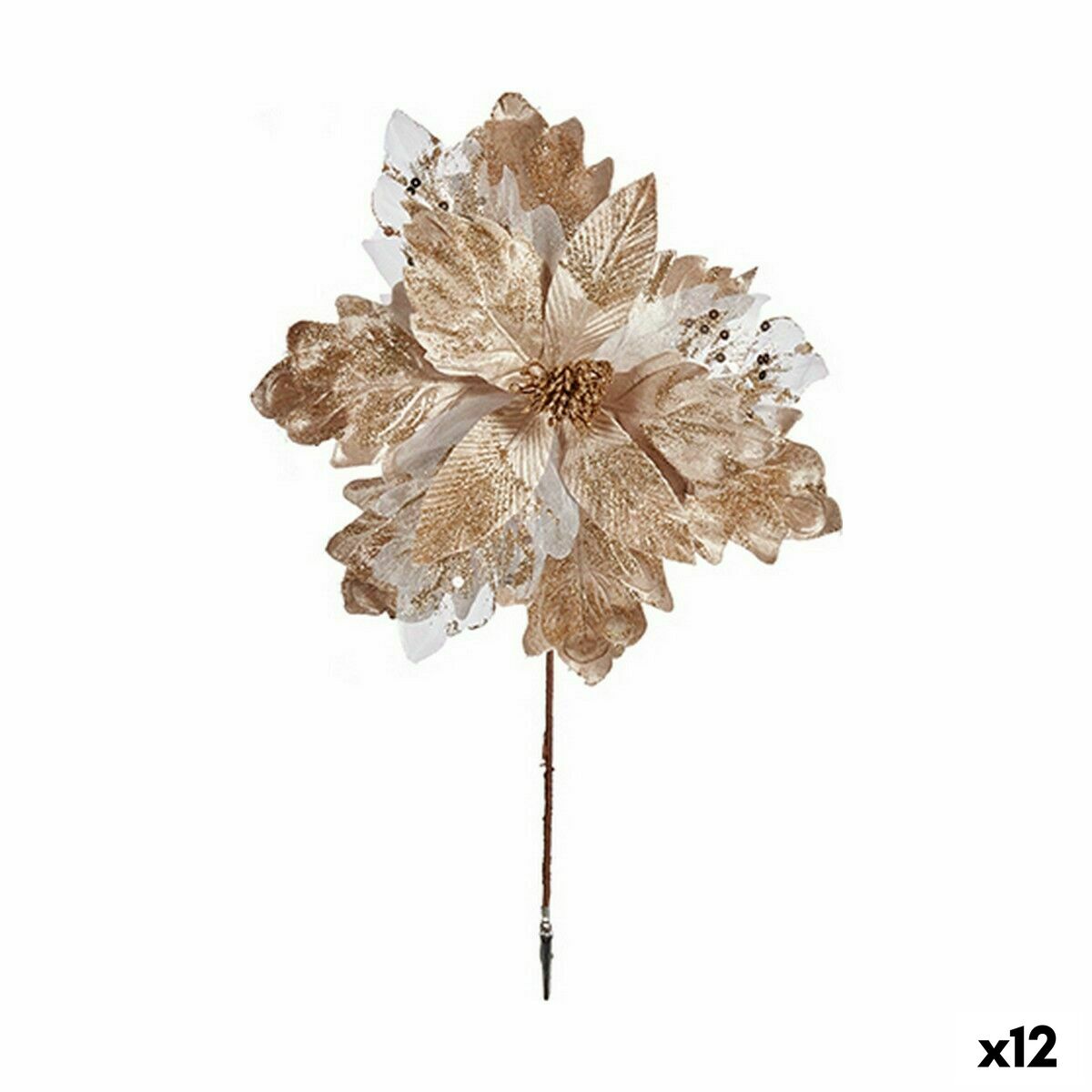 S3627774_0