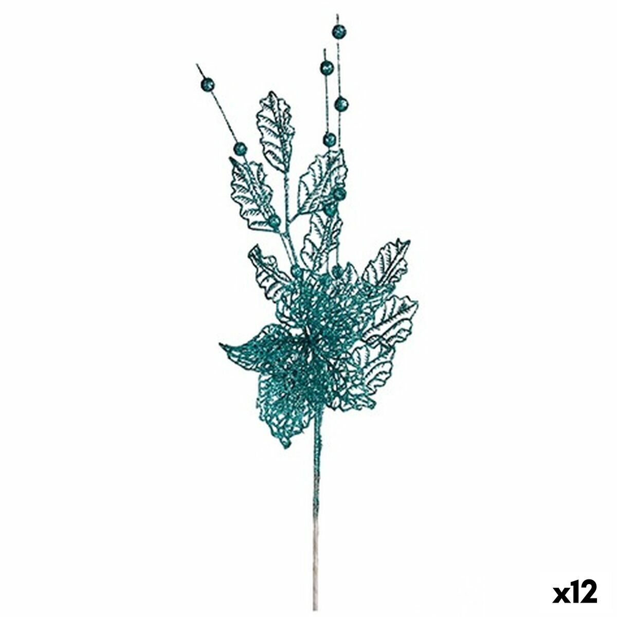 S3627778_0