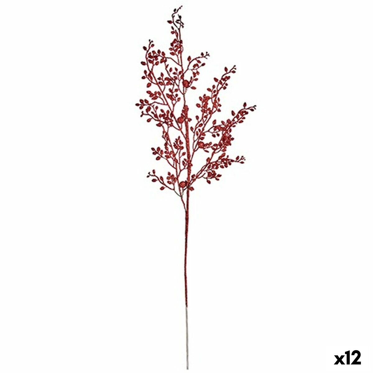 S3627779_0