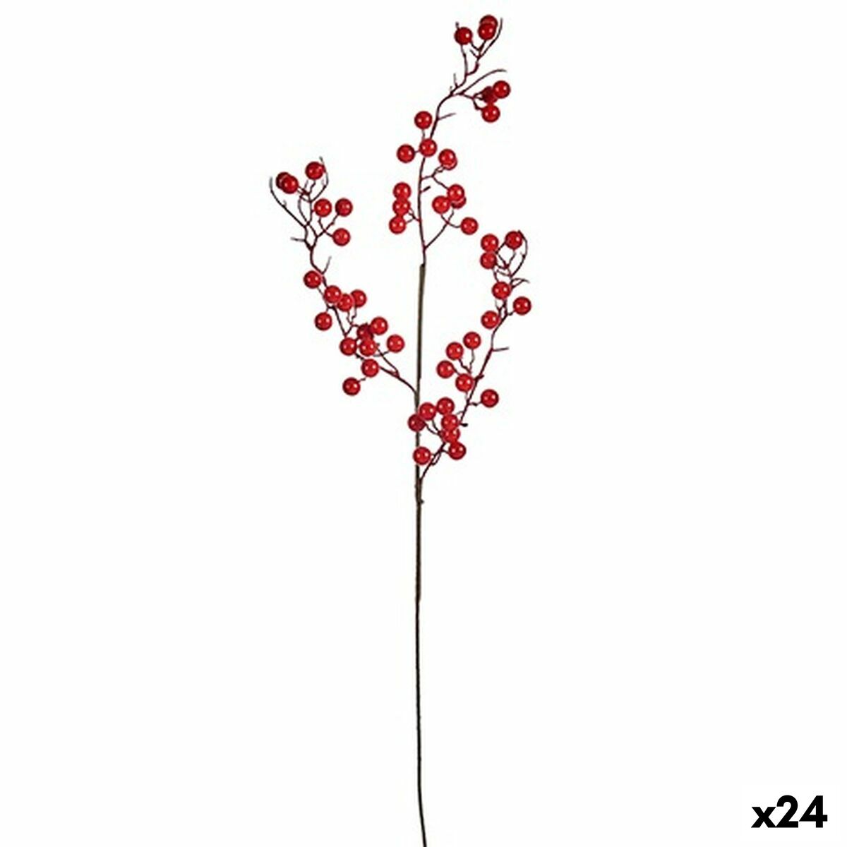S3628406_0