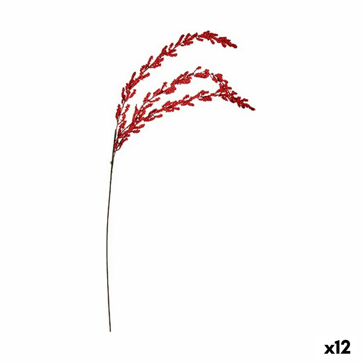 S3628407_0