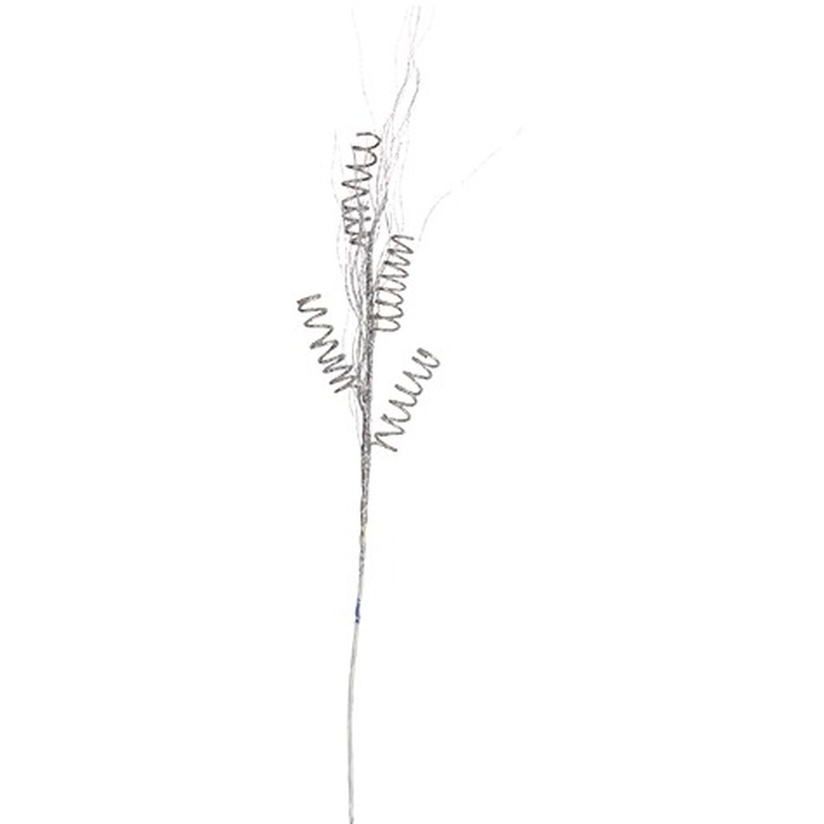 S3629173_1