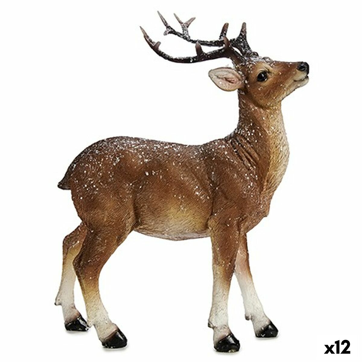 S3629991_0