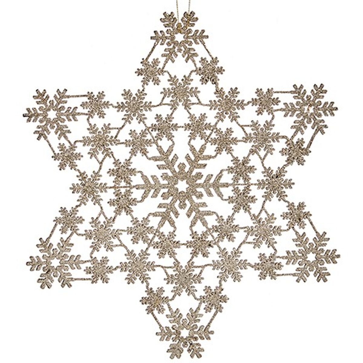 S3630196_1